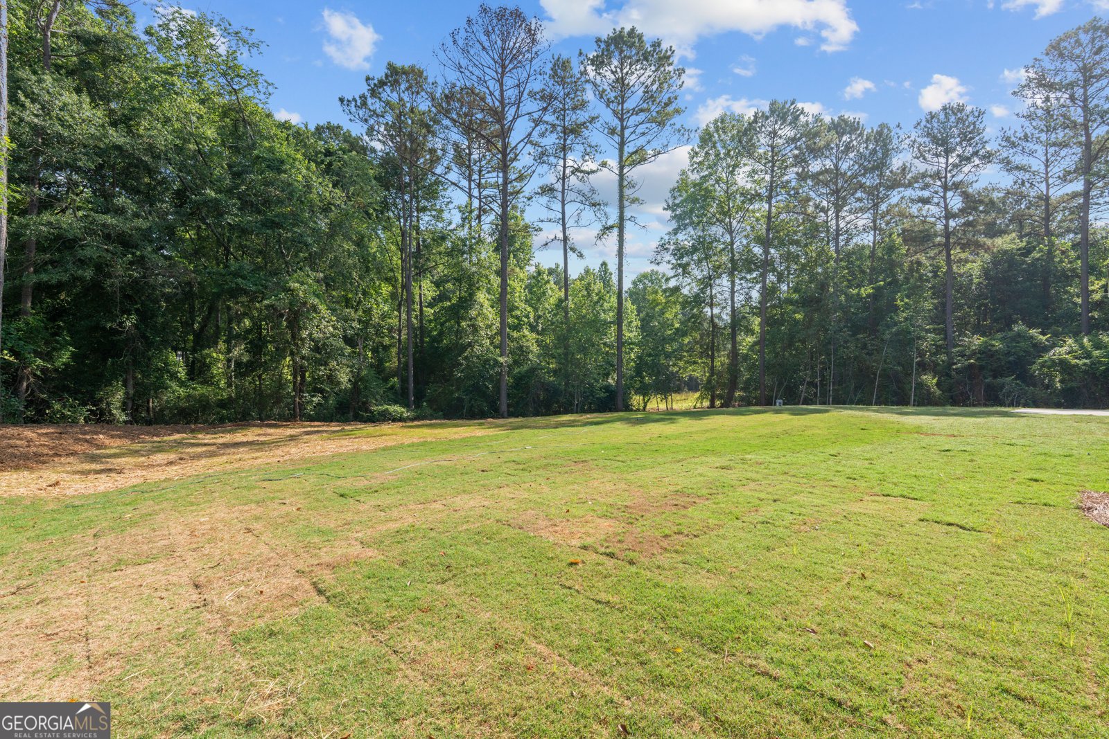 135 Martin Cemetery Road Carrollton - Photo 56