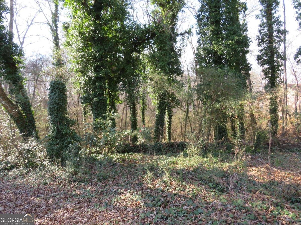 217 Cherokee Circle Cedartown - Photo 9