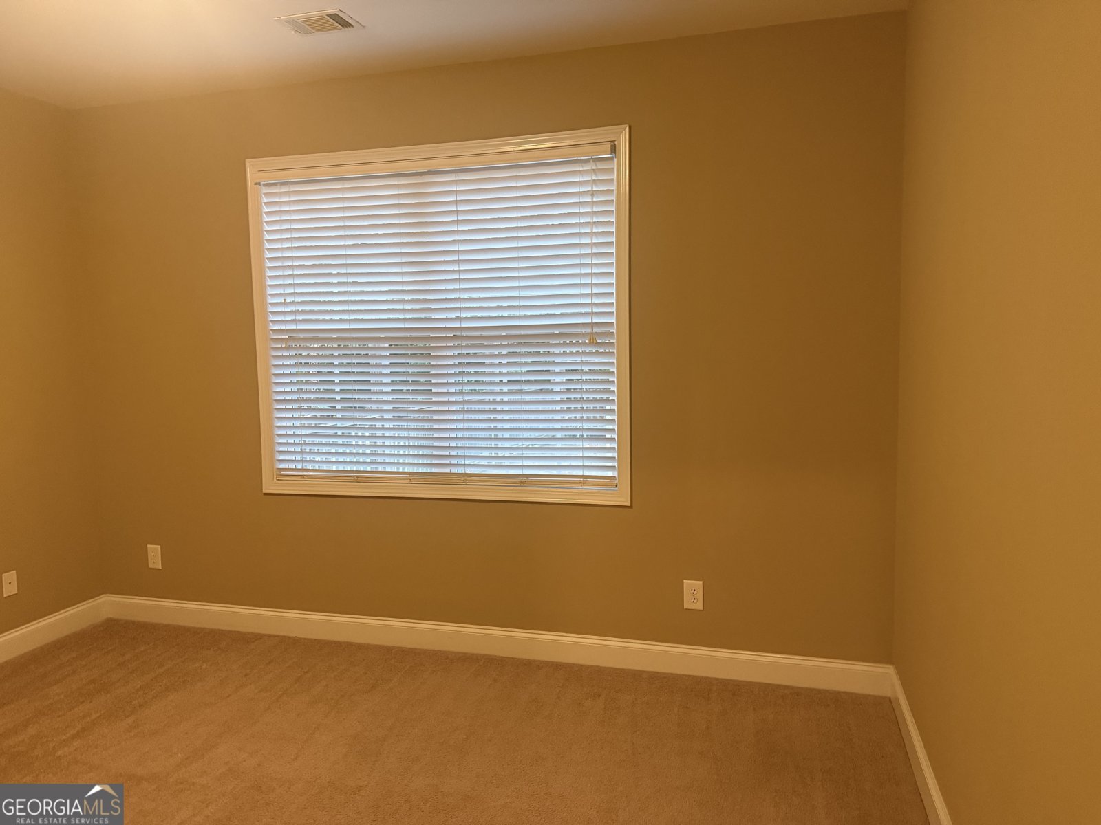 1422 New Holland Circle McDonough - Photo 22