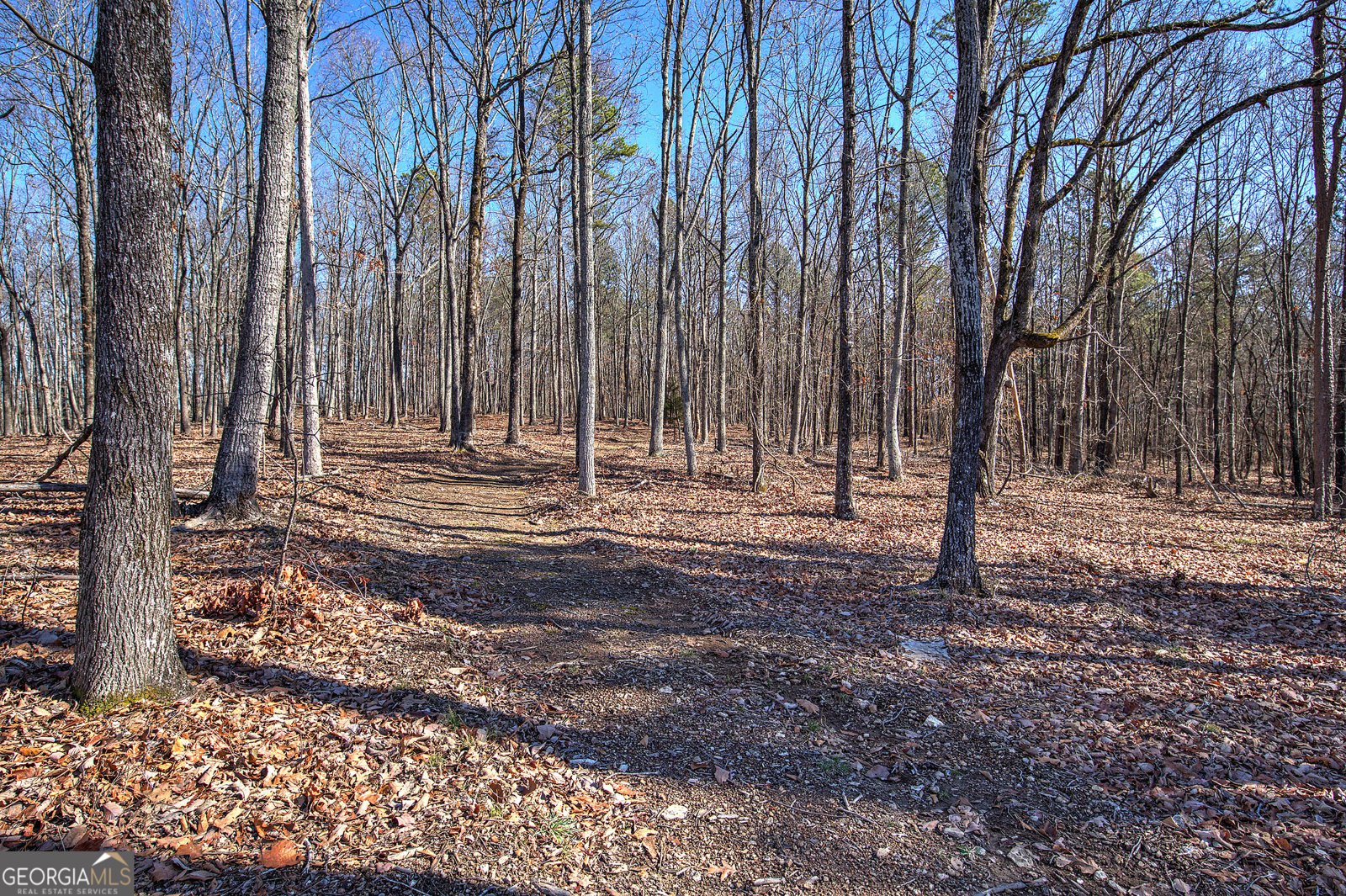 676 Flowery Branch Road Kingston - Photo 43