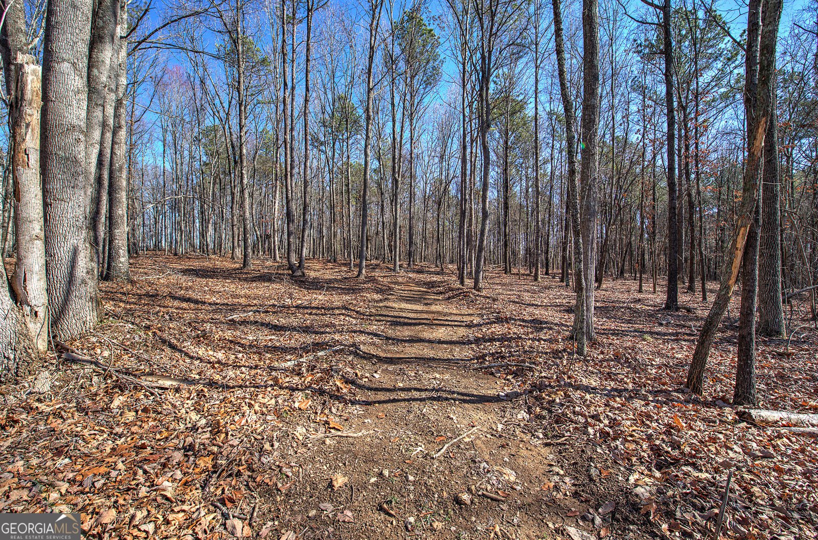 676 Flowery Branch Road Kingston - Photo 44