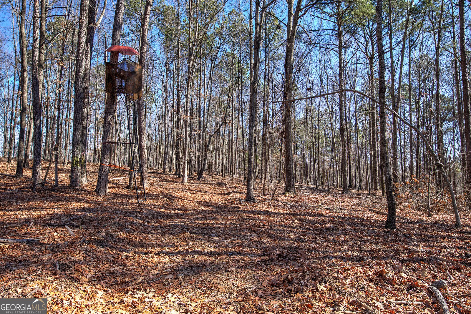 676 Flowery Branch Road Kingston - Photo 46