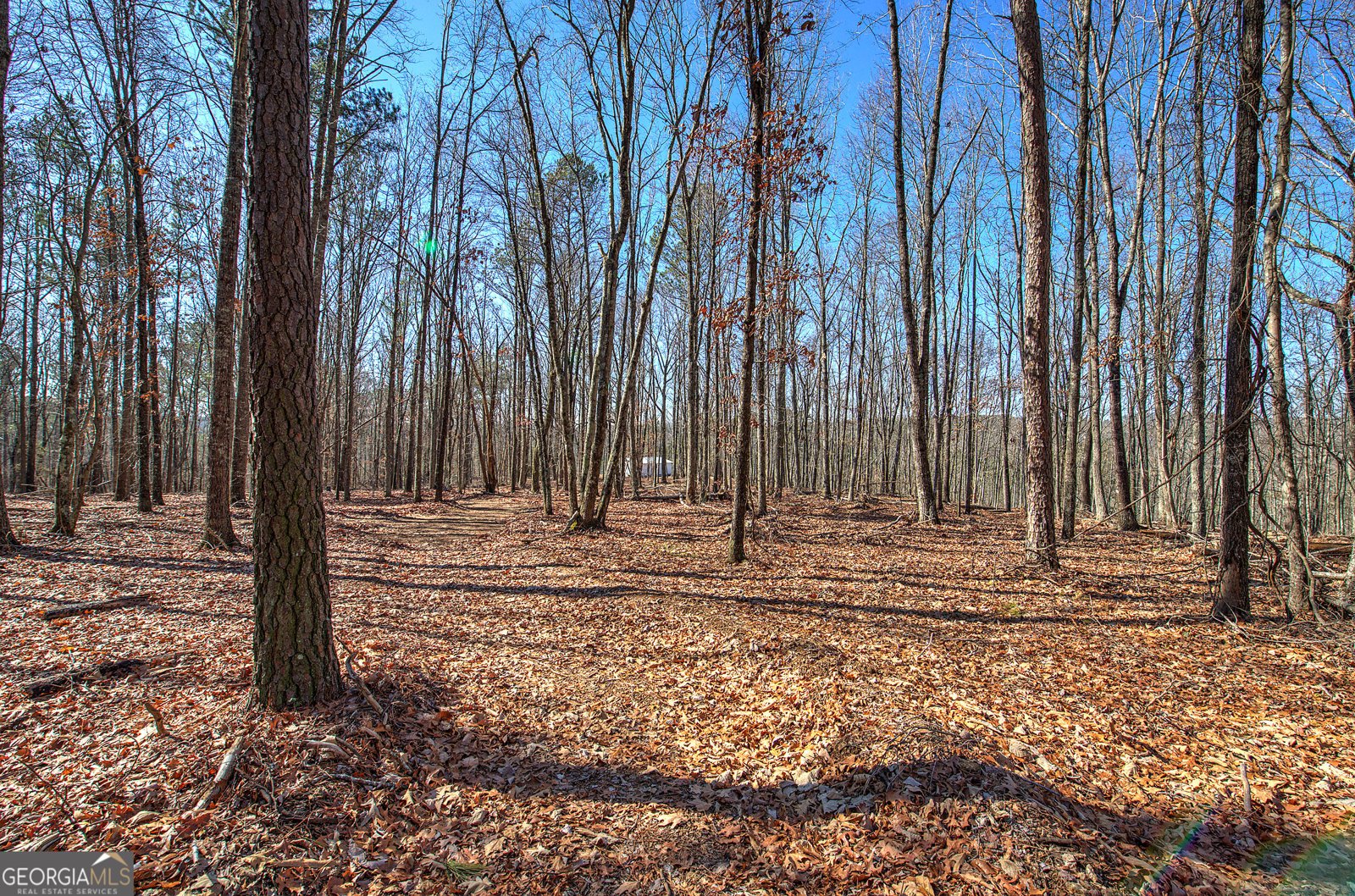 676 Flowery Branch Road Kingston - Photo 47