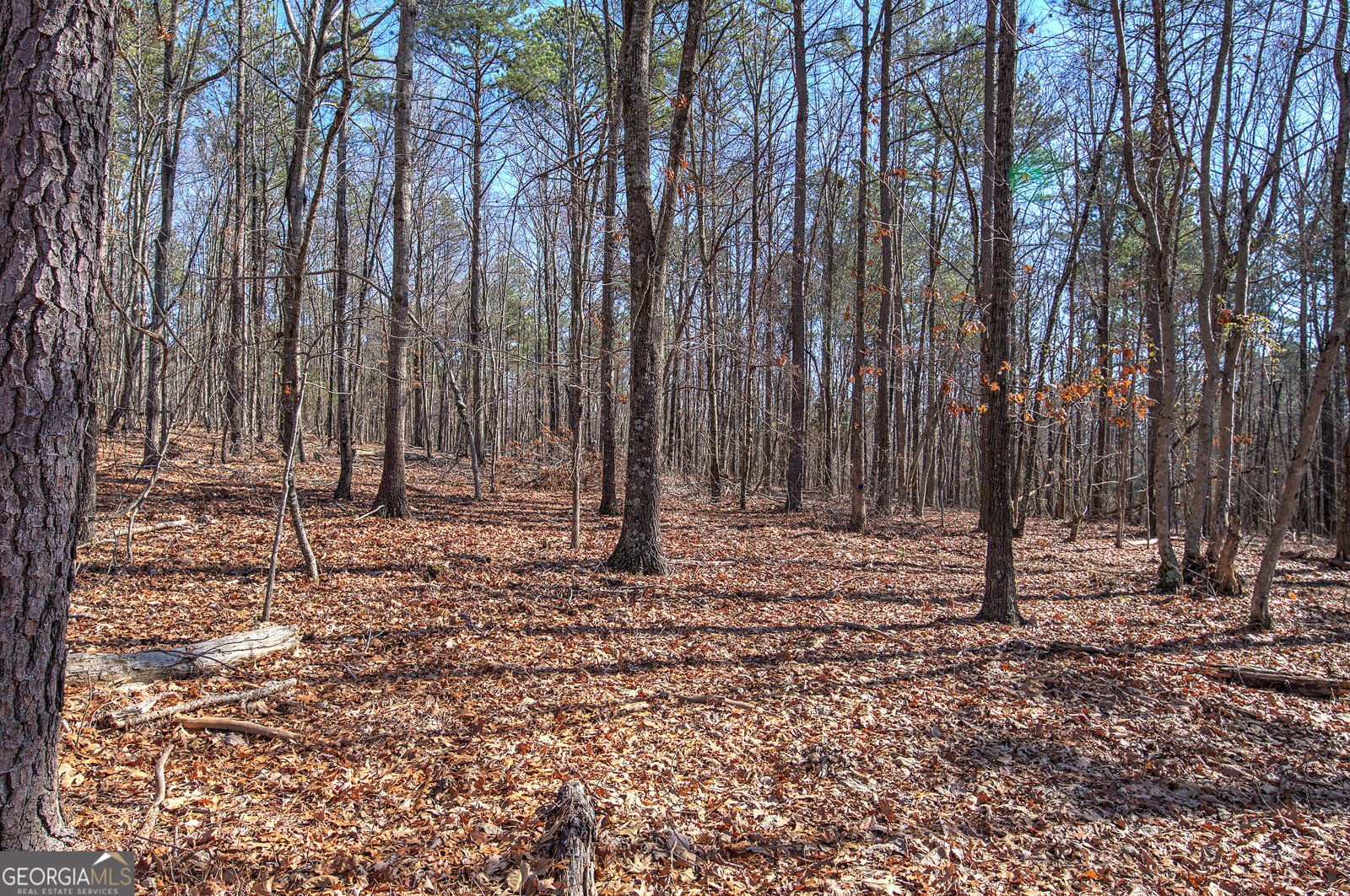 676 Flowery Branch Road Kingston - Photo 48