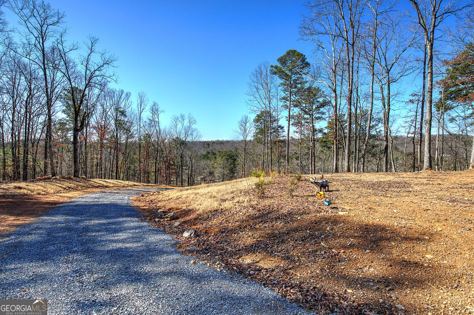 676 Flowery Branch Road Kingston - Photo 52