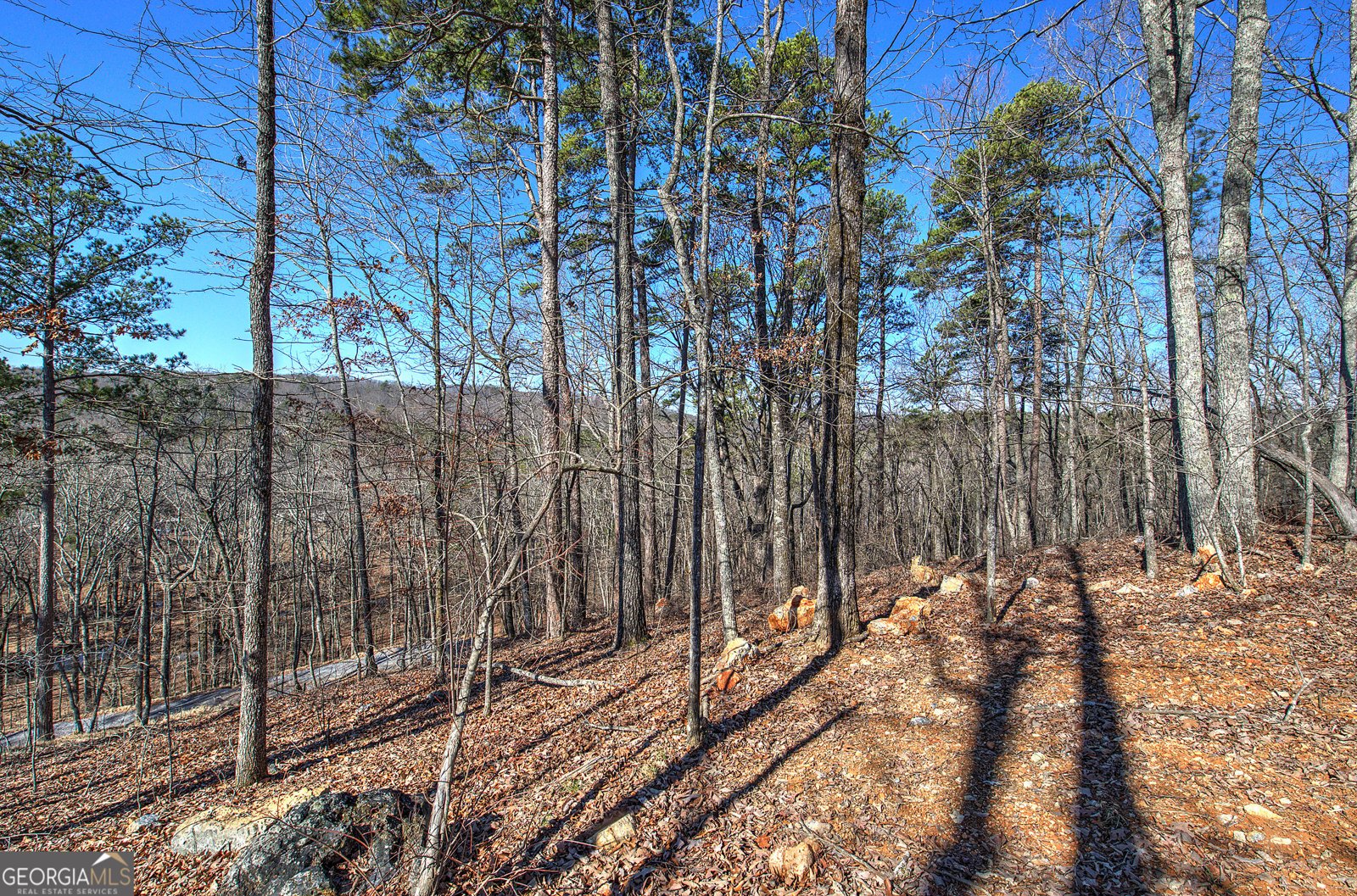 676 Flowery Branch Road Kingston - Photo 56