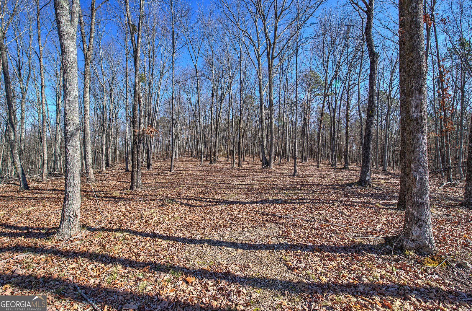 676 Flowery Branch Road Kingston - Photo 57