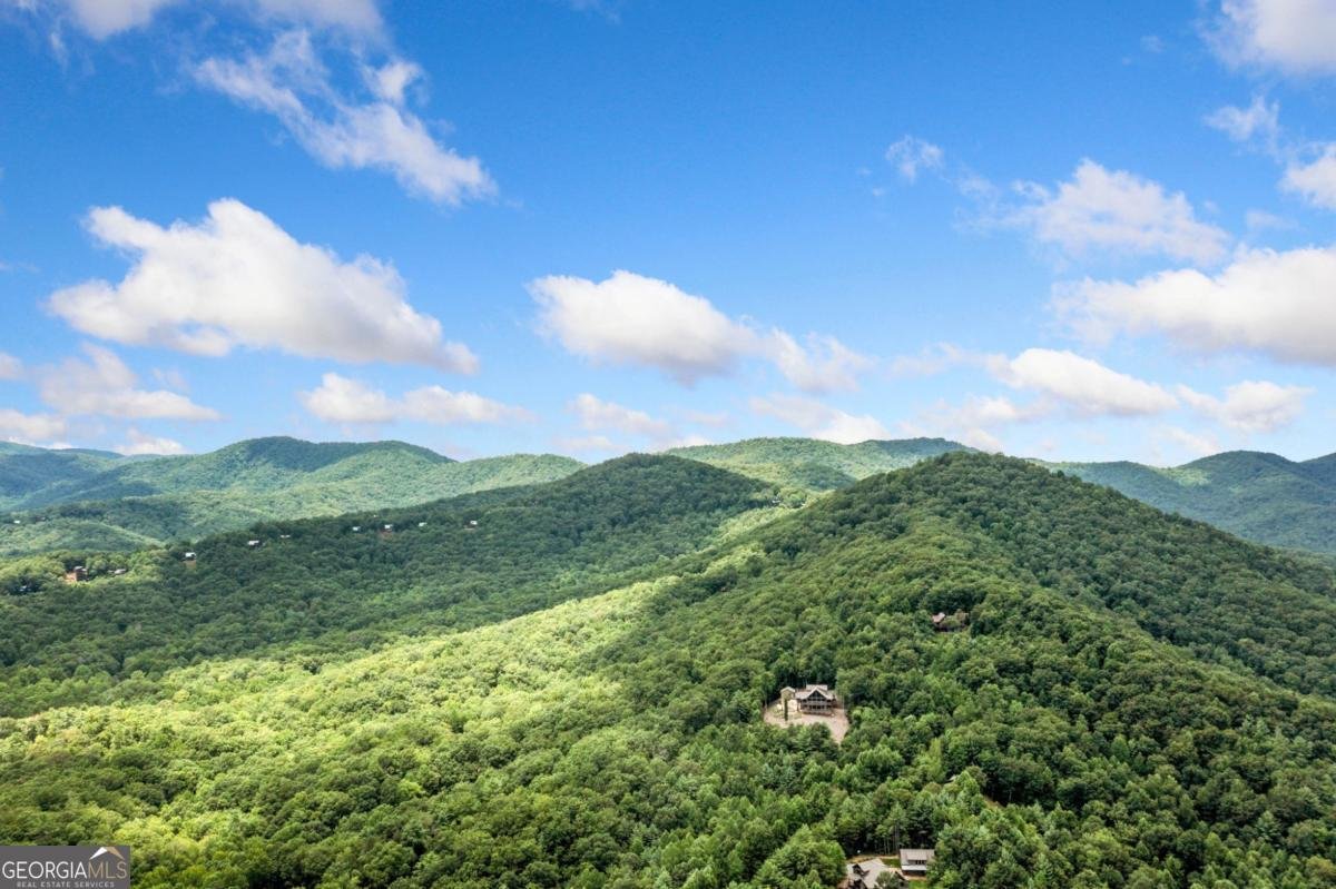 641 Bryant Farm Lane Ellijay - Photo 8