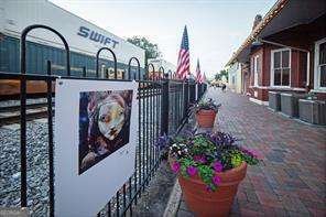 402 Prosper Circle Marietta - Photo 75