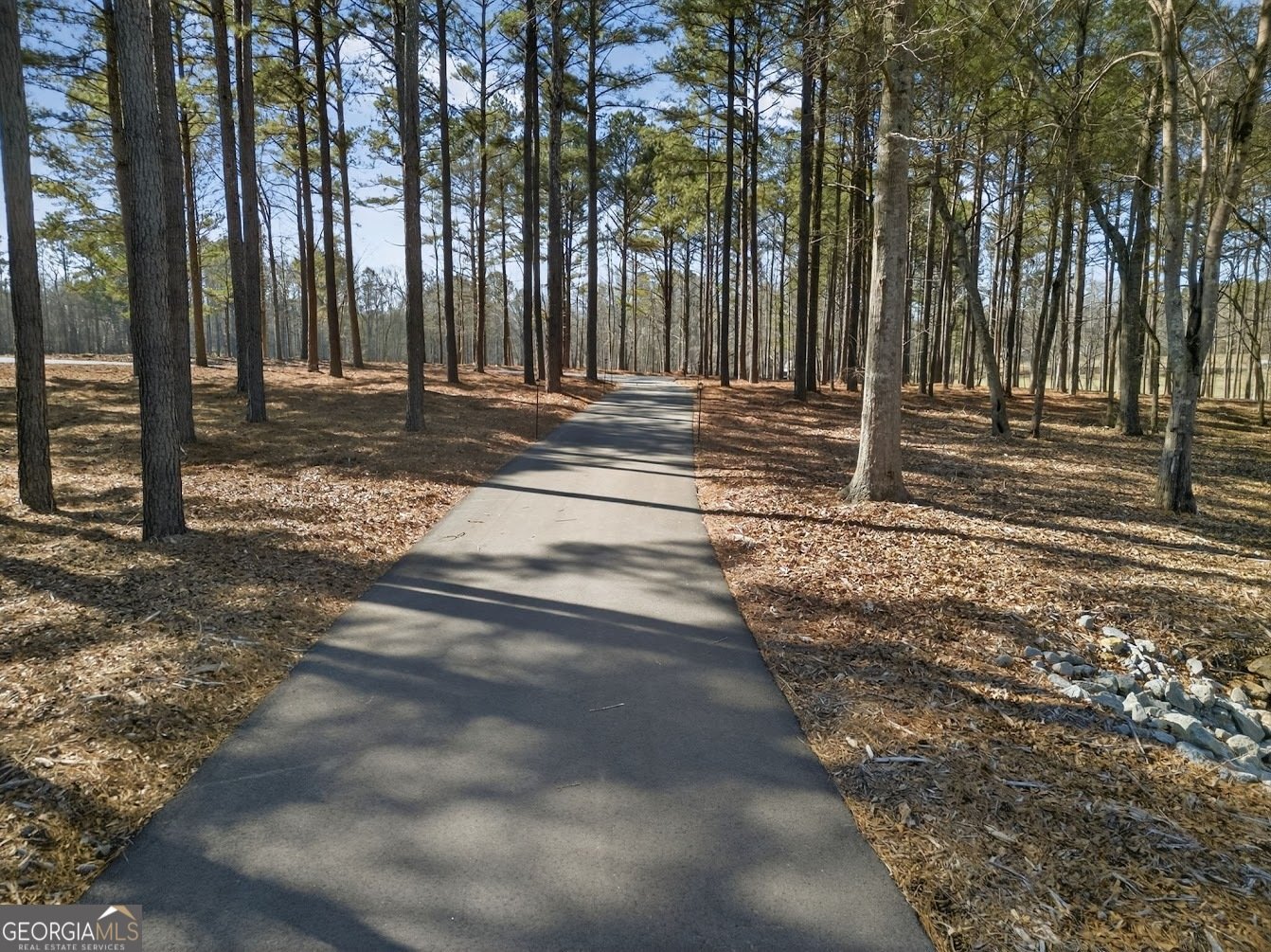 2231 Hwy 113 Carrollton - Photo 57