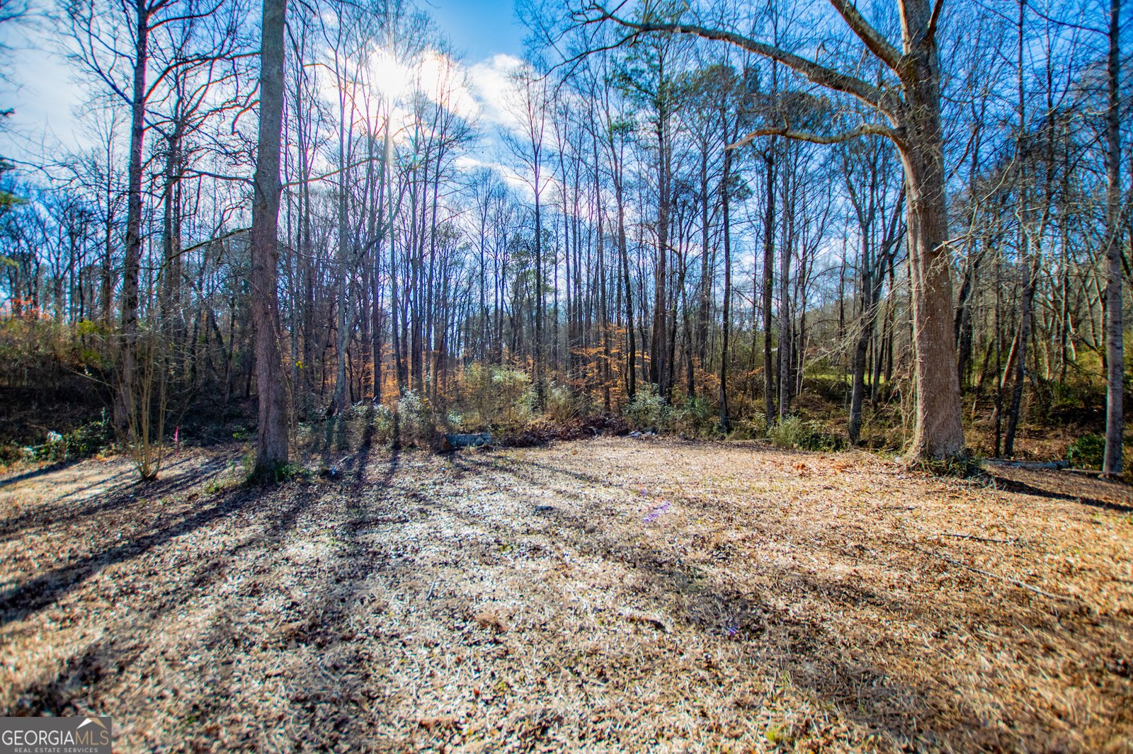 74 Jiles Road Carrollton - Photo 112