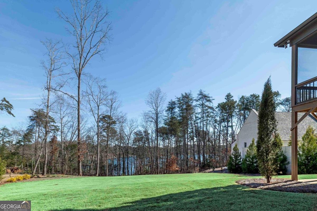 4685 Palmetto Lane Cumming - Photo 45