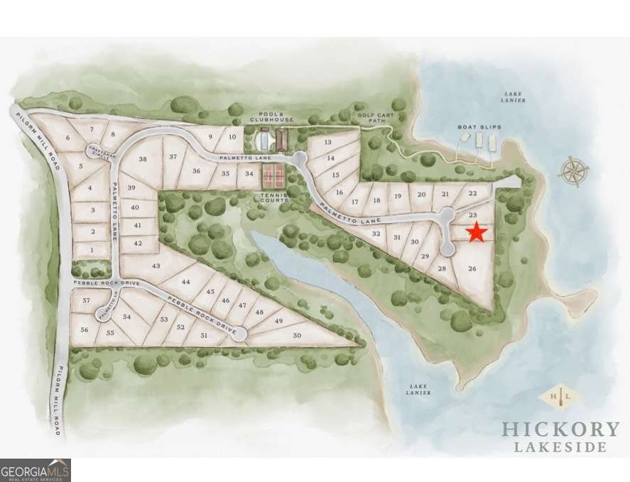 4685 Palmetto Lane Cumming - Photo 53