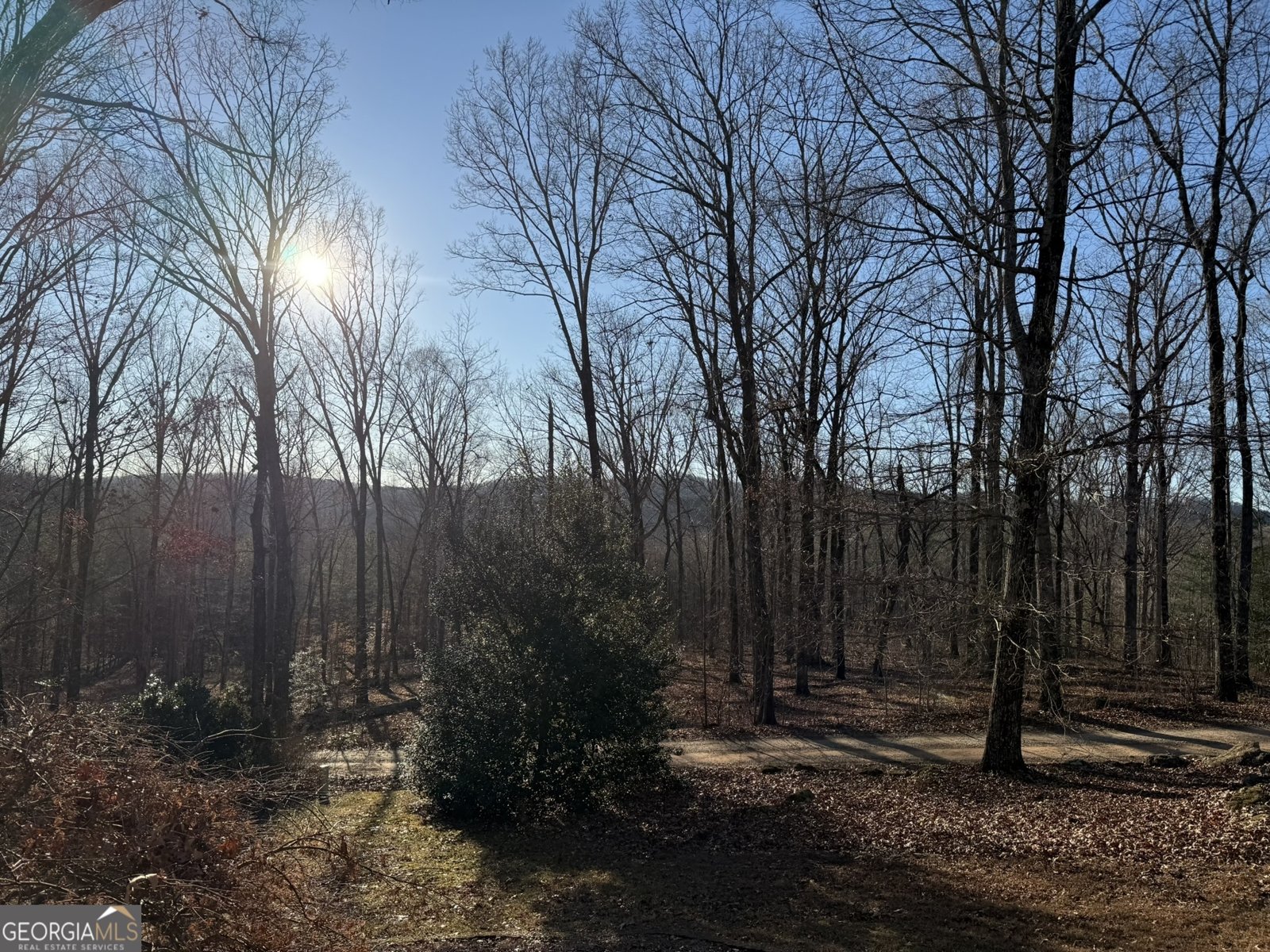 254 Ridgewood Road Clarkesville - Photo 51