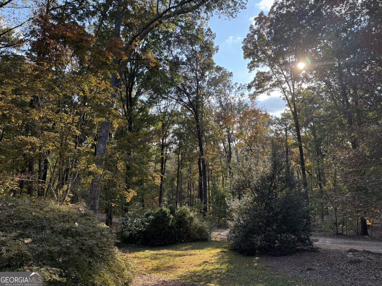 254 Ridgewood Road Clarkesville - Photo 52