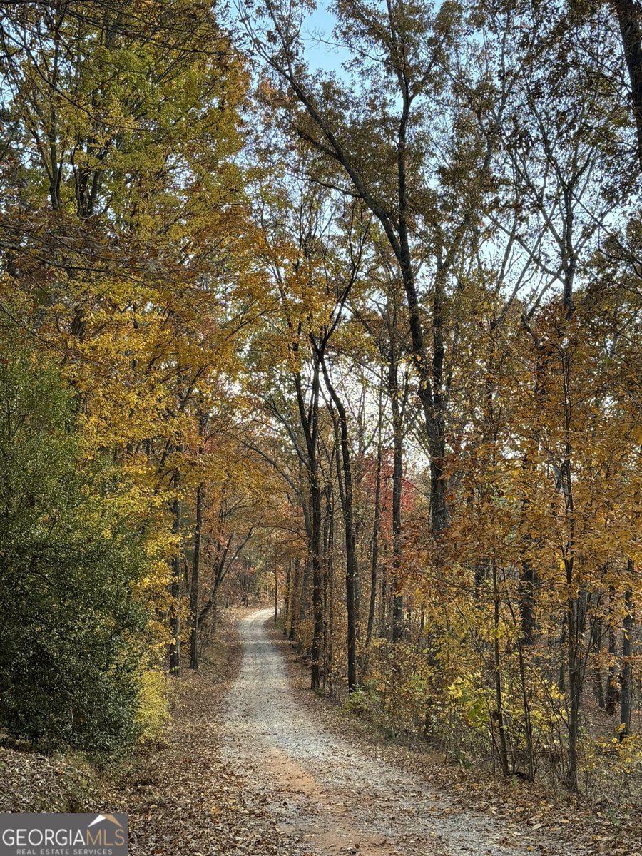 254 Ridgewood Road Clarkesville - Photo 53