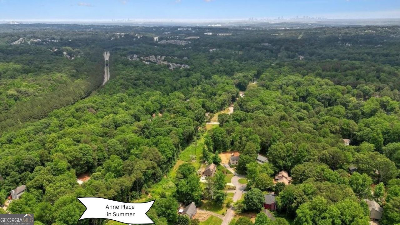 51 Queen Anne Drive Mableton - Photo 50