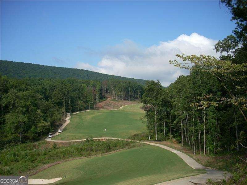 118 Osage Court Waleska - Photo 27