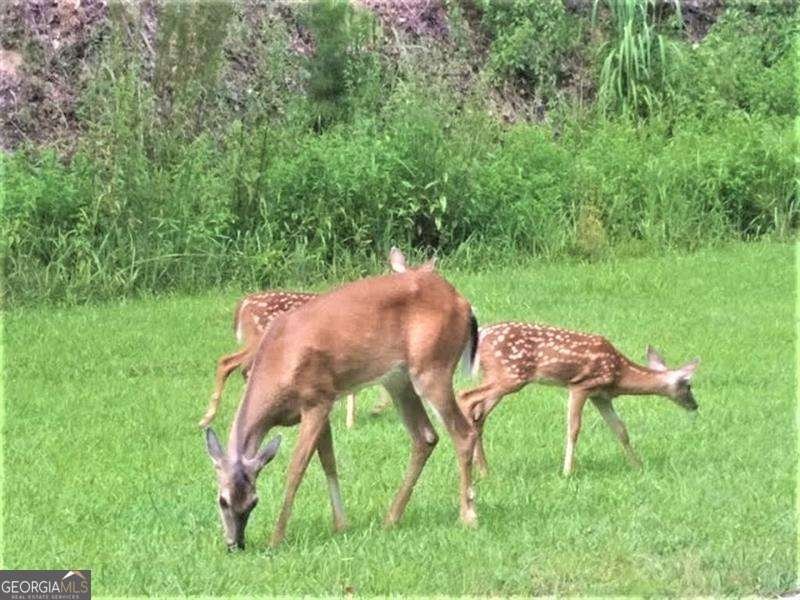 118 Osage Court Waleska - Photo 34