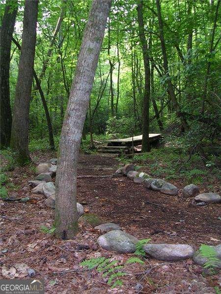 118 Osage Court Waleska - Photo 40