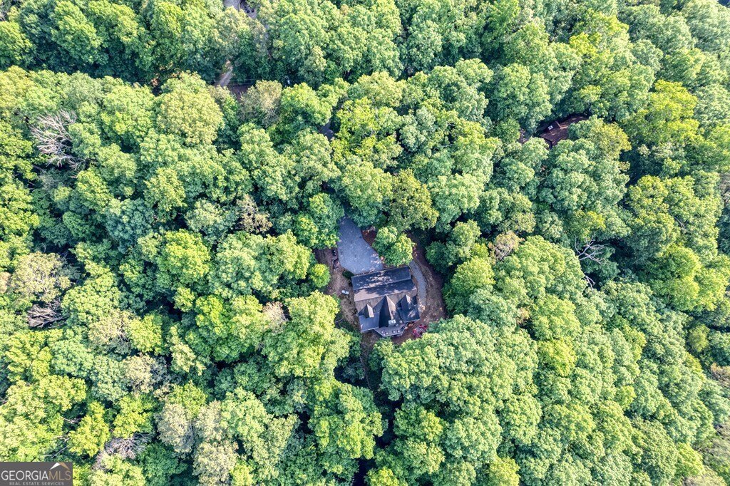 276 Citrine Court Ellijay - Photo 42