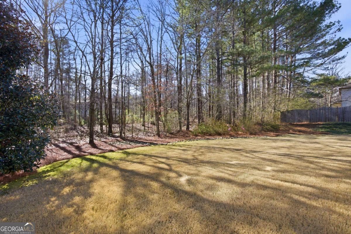 4095 Sophy Drive Powder Springs - Photo 53