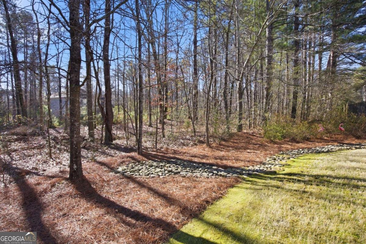 4095 Sophy Drive Powder Springs - Photo 55