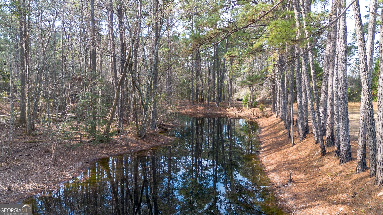 2429 GA Highway 119 Springfield - Photo 34