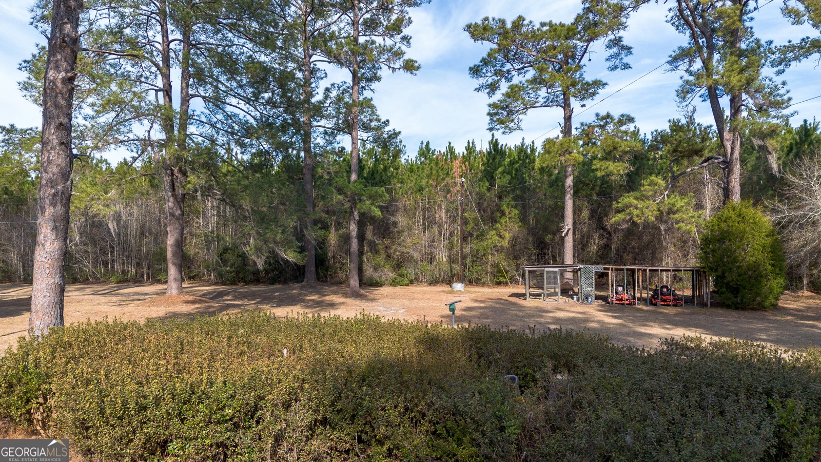 2429 GA Highway 119 Springfield - Photo 6