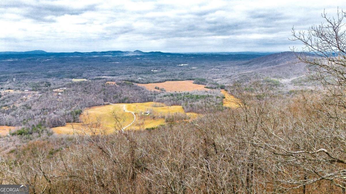 1911 Ridgeview Drive Jasper - Photo 71