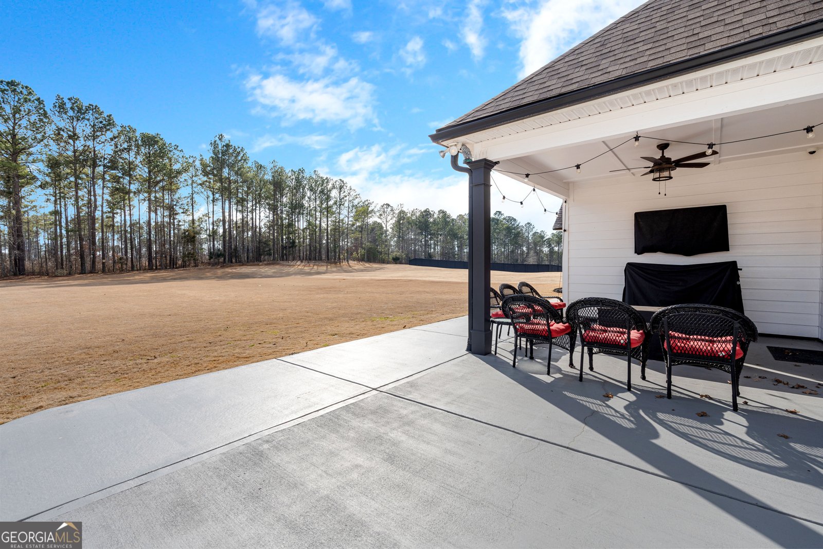 194 Bluff Mill Farms Drive Senoia - Photo 78