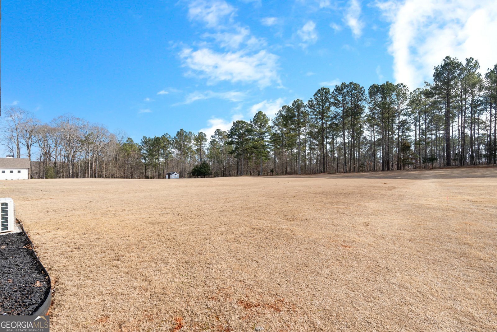 194 Bluff Mill Farms Drive Senoia - Photo 81