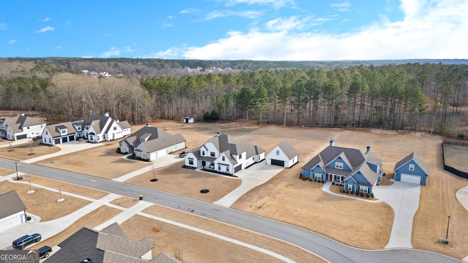 194 Bluff Mill Farms Drive Senoia - Photo 83