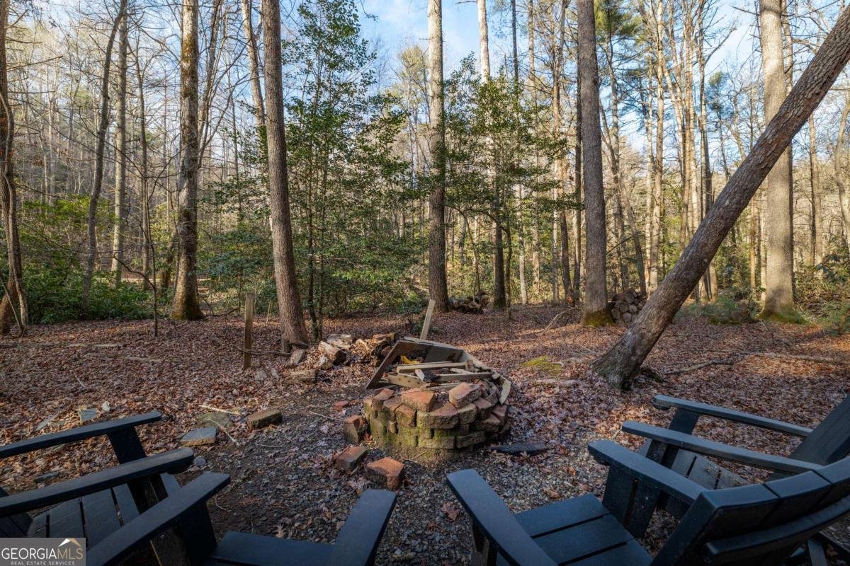 100 Stanley Creek Crossing Blue Ridge - Photo 39