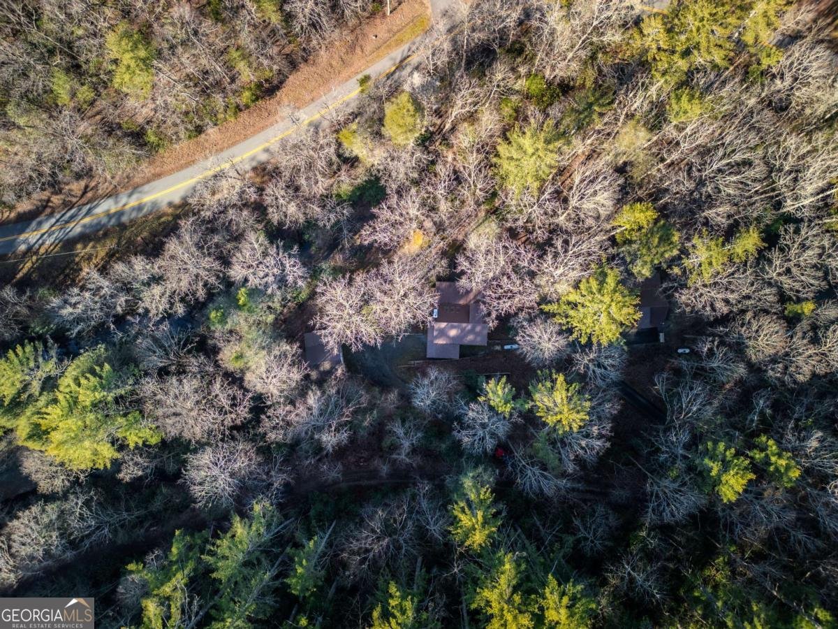 100 Stanley Creek Crossing Blue Ridge - Photo 44
