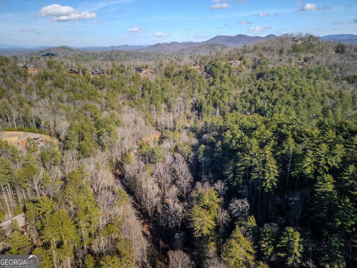 100 Stanley Creek Crossing Blue Ridge - Photo 45