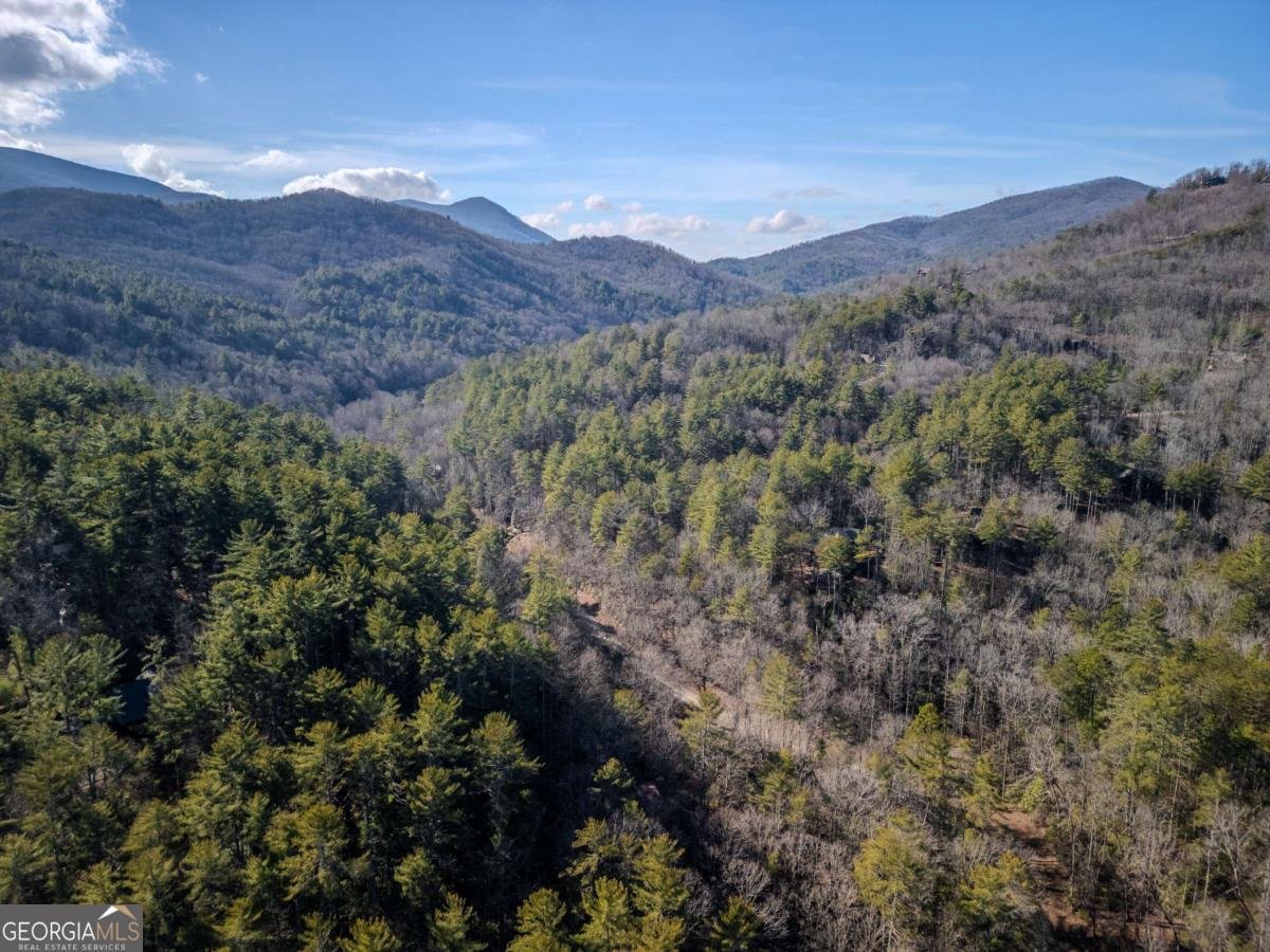 100 Stanley Creek Crossing Blue Ridge - Photo 46