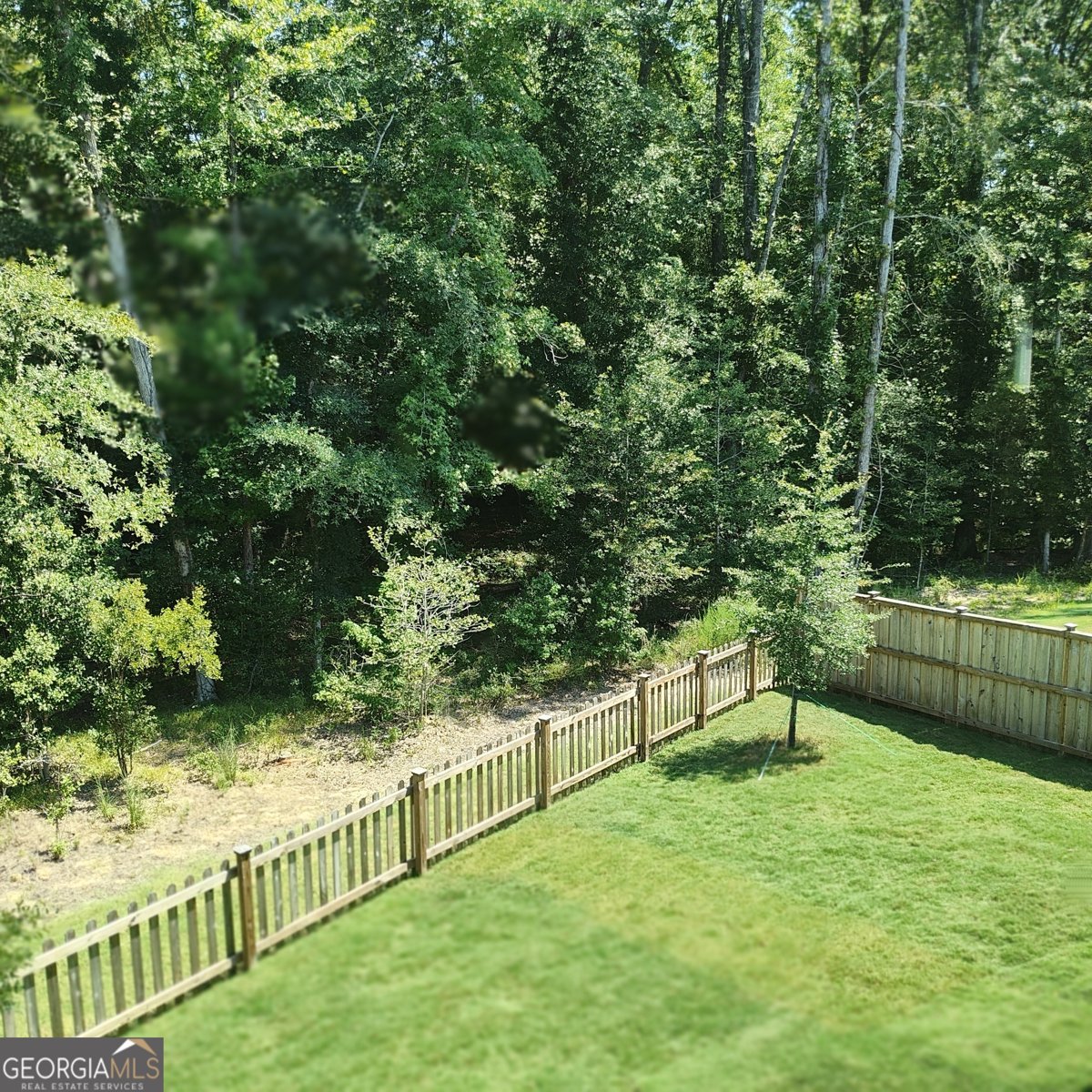 13768 Whitman Lane Covington - Photo 36