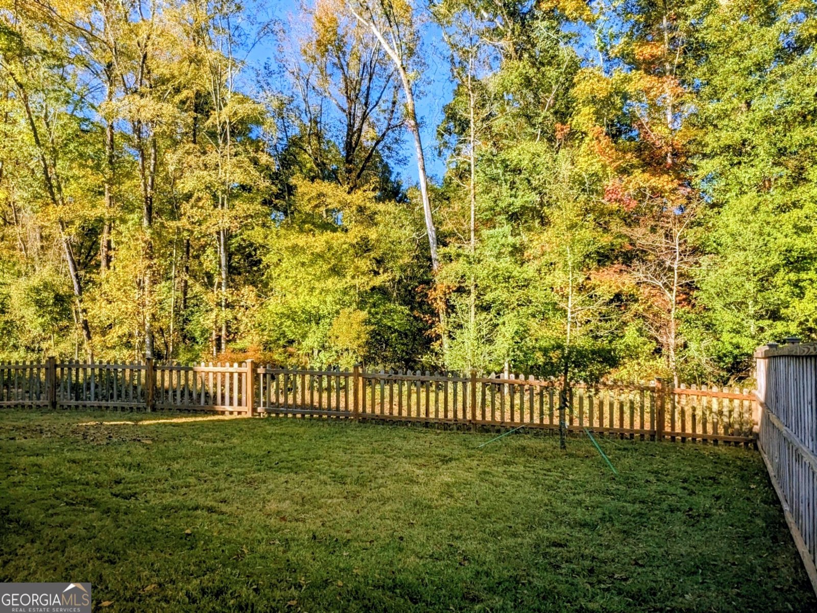 13768 Whitman Lane Covington - Photo 38