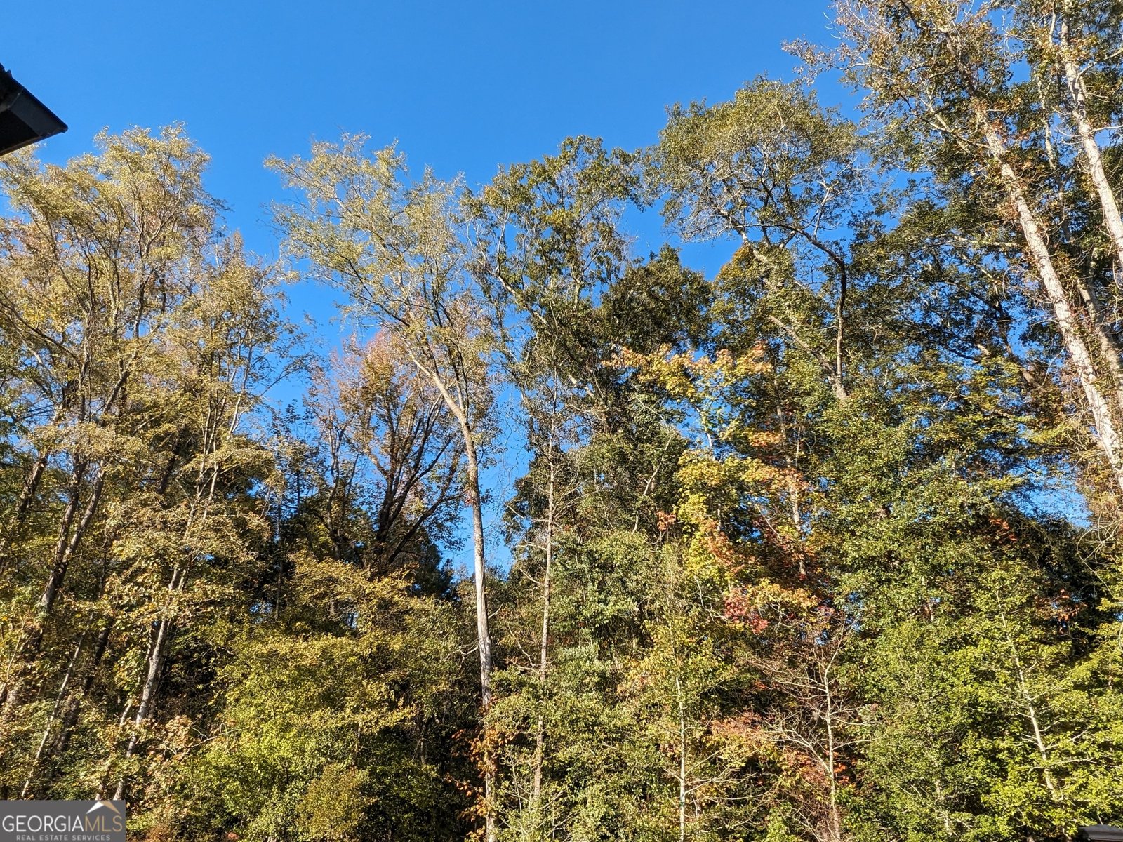 13768 Whitman Lane Covington - Photo 40