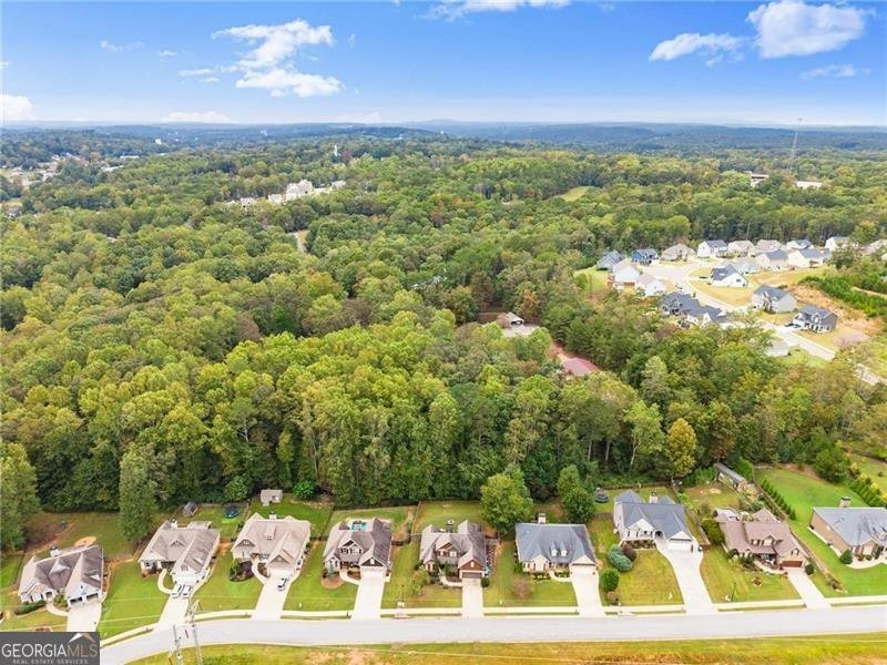 417 Tom Avery Drive Ball Ground - Photo 43