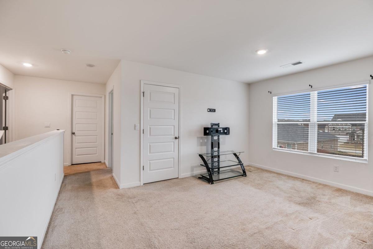 1545 Brangus Drive Stockbridge - Photo 19