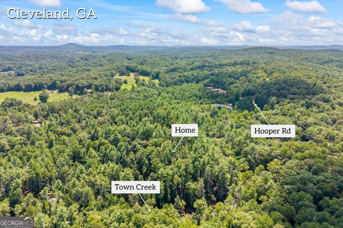 1243 Hooper Road Cleveland - Photo 31