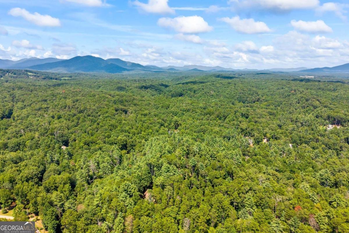 1243 Hooper Road Cleveland - Photo 32