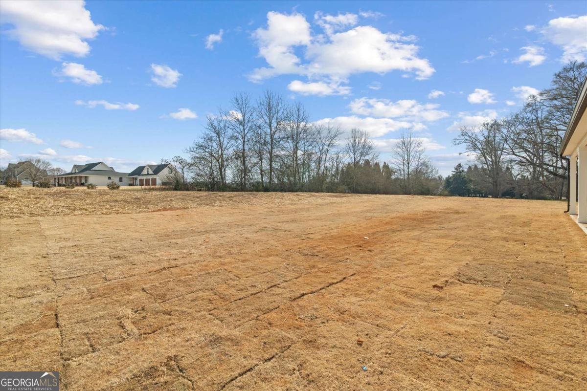 1250 HAYS MILL Road Carrollton - Photo 63