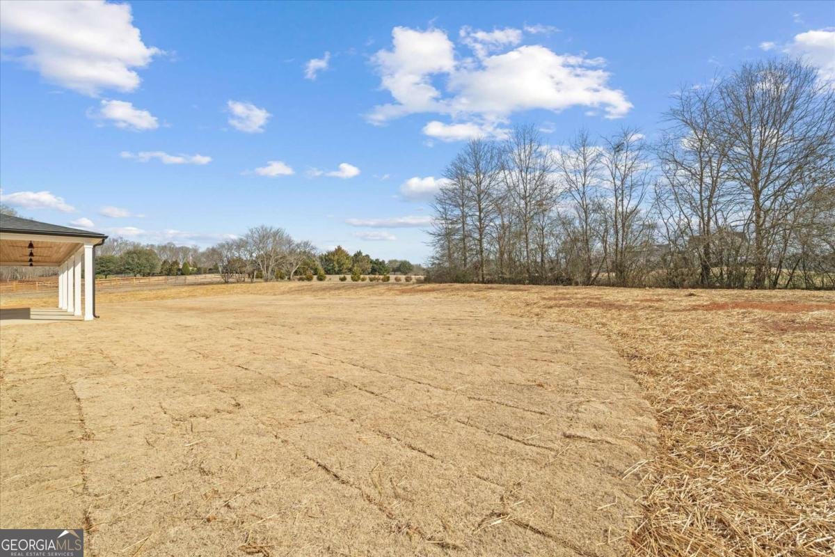 1250 HAYS MILL Road Carrollton - Photo 64