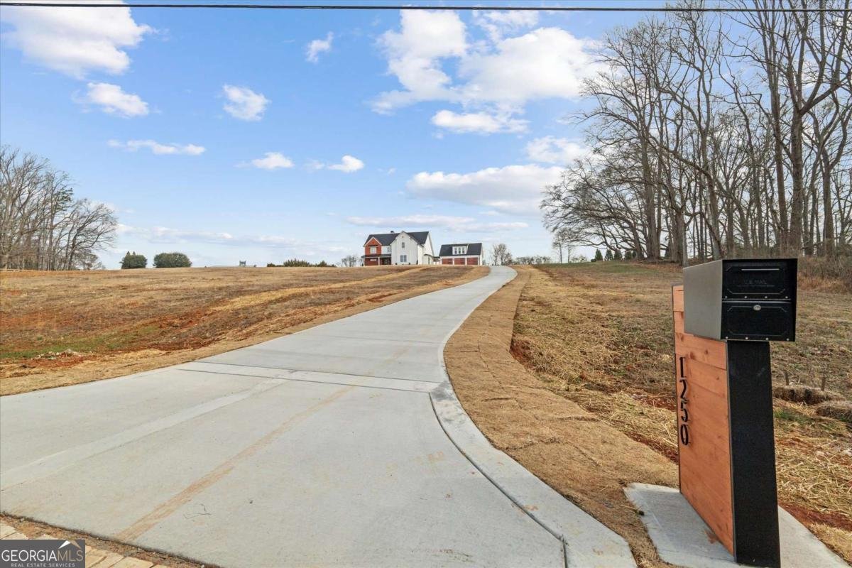 1250 HAYS MILL Road Carrollton - Photo 66