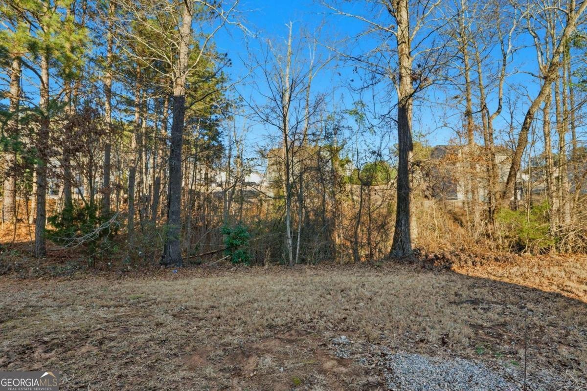 1224 Morrow Drive Social Circle - Photo 43