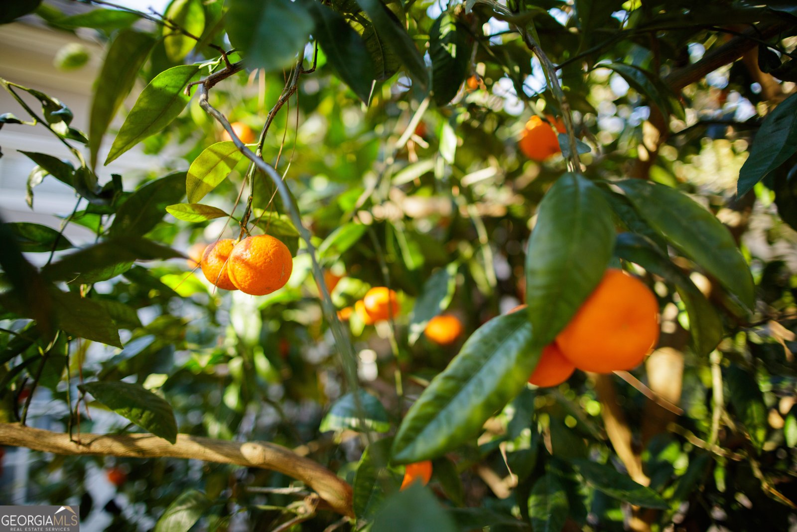 1064 Ridge Road Valdosta - Photo 65