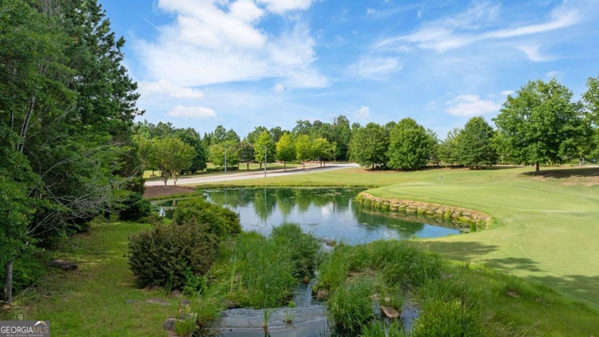 329 Sandy Springs Drive Griffin - Photo 89